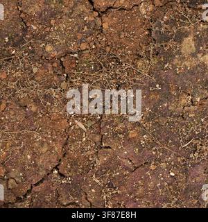 Ansicht von oben über ausgetrocknete, rissige Erde mit vertrockneten Wurzeln und kleinen Steinen. Ideal für Umwelt-, Dürre- oder landwirtschaftliche Themen. Stockfoto