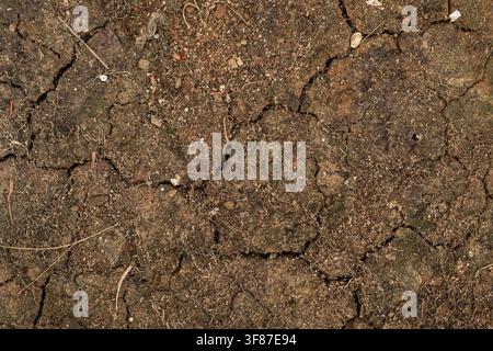 Ansicht von oben auf trockene, rissige Erde mit kleinen Steinen und Trümmern. Hochdetaillierte Textur, die Trockenheitsbedingungen, Klimawandeleffekte und Barr veranschaulicht Stockfoto