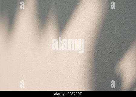 Weiche Schatten von tropischen Blättern werfen sich während hellen Tageslichts auf eine beige strukturierte Betonwand. Minimalistisches ästhetisches Hintergrundmotiv mit Kopierraum. Stockfoto