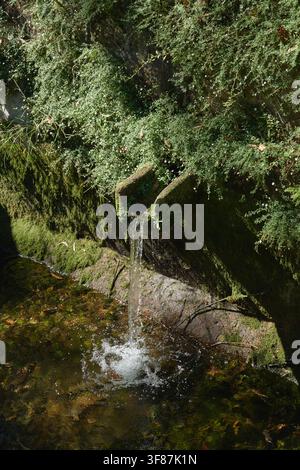 Fließendes frisches Wasser aus einem Steinkanal erzeugt Wellen in einem Waldbach Stockfoto