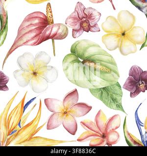 Aquarell weiße Plumeria, Orchideen, Kolibri, Bambusblätter und Anthurium-Blüte nahtloses Muster, handgezeichneter zarter Bambus mit tropischen Blumen Stockfoto