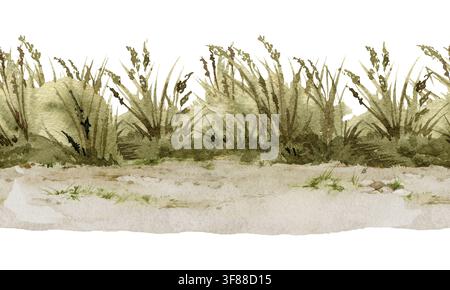 Gras nahtlose Bordüre mit wilden Wiesenpflanzen, handgemalte Aquarellillustration isoliert. Grasrand für Wald, Natur, Garten, Verpackung Stockfoto