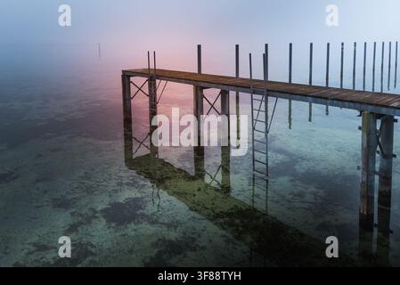 Holzsteg, der im Nebel am Bodensee verschwindet, Hemmenhofen, Halbinsel Höri, Deutschland Stockfoto