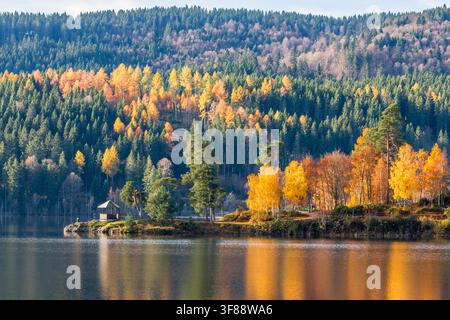Herbstlandschaft am Schluchsee mit dem Amalienruhe-Pavillon, Schwarzwald, Deutschland Stockfoto