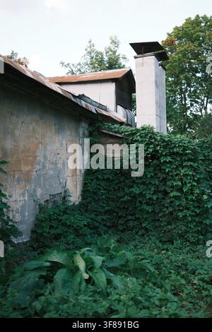 Wuchernde Vegetation bedeckt die verwitterte Fassade eines alten Gebäudes mit rissigen Wänden und alternden architektonischen Details Stockfoto