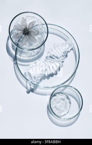 DNA-Helix, Blume, Gel in Petrischalen, Biotechnologie-Forschung Stockfoto