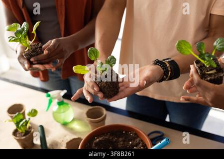 Drei afroamerikanische Freunde halten Sämlinge an einem Tisch am Fenster mit Terrakottatopf, Spachtel. Setzling, Garten, Workshop, Teamarbeit, Sonnenlicht, Gartenbau Stockfoto