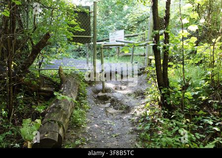 Ottawa, Ontario, Kanada – 11. Aug 2026: Schmaler bewaldeter Pfad mit Holzbrücke und Beschilderung in Ottawa, Kanada. Gefiltertes Sonnenlicht dringt durch das dichte Stockfoto