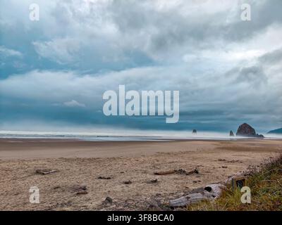 Stürmische Wolken hängen über dem Sandstrand. Ozeanwellen brechen sanft am Ufer. Ein einsamer Felsen steht fest jenseits der Flut. Treibholz liegt verstreut nahe dem Gras Stockfoto