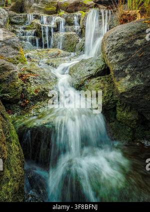 Kleiner kaskadierender Wasserfall, der über moosige Felsen in einer üppigen grünen Waldlandschaft fließt. Stockfoto