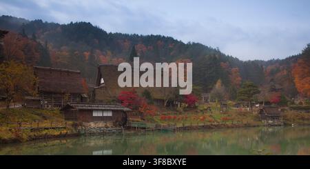 Ansicht traditioneller Gassho-Zukuri-Strohdachhäuser, die sich an einem ruhigen Teich eingebettet befinden, umgeben von lebendigem Herbstlaub und bewaldeten Bergen in Japan. Stockfoto