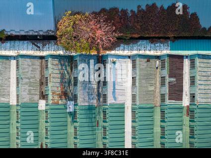 Luftbild von alten Industriegebäudedächern mit Vegetation, die zwischen den Gebäuden in Belgrad, Serbien, wächst Stockfoto