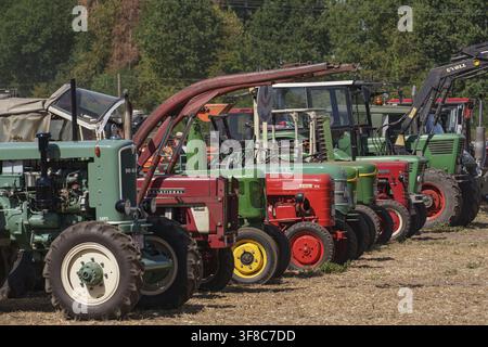 Mehrere Traktoren, die in einer Reihe auf einem landwirtschaftlichen Treffpunkt unter Bäumen geparkt sind, Velen, Münsterland, Deutschland Stockfoto
