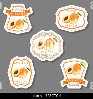 Illustration über Obst Thema aus Set saftig köstliche Aprikose in verschiedenen Größen, Frucht Aprikose bestehend aus saftigen Bio-Lebensmitteln, Sammlung Aprikose in j Stock Vektor