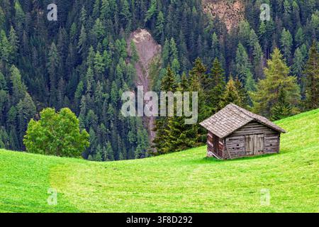 Alte Holzbarn steht auf einer grünen Wiese an einem Hang, umgeben von dichtem Wald Stockfoto