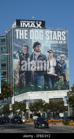 Los Angeles, Kalifornien, USA 11. August 2026 Das Dog Stars Billboard auf dem Sunset Blvd am 11. August 2026 in Los Angeles, Kalifornien, USA. Foto von Barry King/Alamy Stock Photo Stockfoto