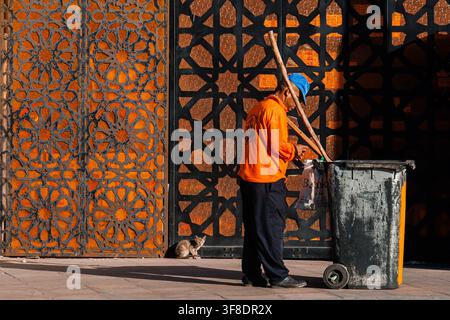 Ein kommunaler Straßenreiniger in einer orangefarbenen Uniform arbeitet neben einem Abfalleimer, während eine streunende Katze zuschaut, Alexandria, Ägypten. Stockfoto