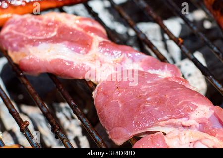 Nahaufnahme von rohem Schweinefleisch, das auf heißen Metallrosten eines Holzkohlegrills kocht, mit frischen Schweineschnitten, die für eine Mahlzeit im Freien vorbereitet werden Stockfoto