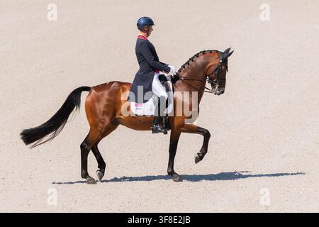 Aachen, Deutschland. 12. Aug., 2026. Pferdesport: Weltmeisterschaften, Dressur, Grand Prix Team Final. Der britische Reiter Carl Hester reitet sein Pferd Fame durch die Bahn. Credit: Rolf Vennenbernd/dpa/Alamy Live News Stockfoto