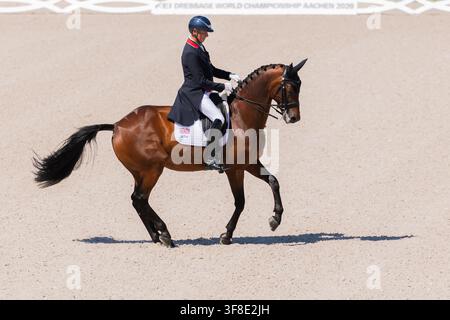 Aachen, Deutschland. 12. Aug., 2026. Pferdesport: Weltmeisterschaften, Dressur, Grand Prix Team Final. Der britische Reiter Carl Hester reitet sein Pferd Fame durch die Bahn. Credit: Rolf Vennenbernd/dpa/Alamy Live News Stockfoto