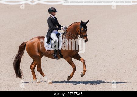 Aachen, Deutschland. 12. Aug., 2026. Reitsport: Weltmeisterschaften, Dressur, Grand Prix Team Final. Die deutsche Reiterin Katharina Hemmer reitet ihr Pferd Denoix PCH über den Kurs. Credit: Rolf Vennenbernd/dpa/Alamy Live News Stockfoto