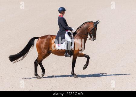 Aachen, Deutschland. 12. Aug., 2026. Pferdesport: Weltmeisterschaften, Dressur, Grand Prix Team Final. Der britische Reiter Carl Hester reitet sein Pferd Fame durch die Bahn. Credit: Rolf Vennenbernd/dpa/Alamy Live News Stockfoto