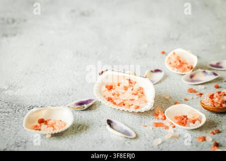 Rosa Steinsalz, das in verschiedenen Meeresmuscheln auf einem hellgrauen Studiohintergrund angeordnet ist, schafft ein luftiges Küsten-Wellness-Stillleben mit einer friedlichen Meereskulisse Stockfoto