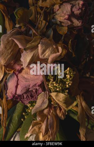 Makro-Nahaufnahme von getrockneten rosa Blütenblättern, Blättern und kleinen Beeren, texturierter botanischer Detailaufnahme Stockfoto