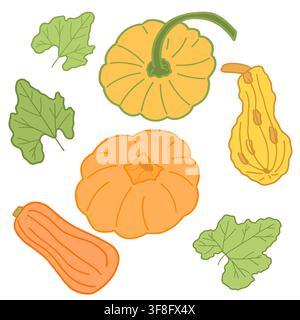 Kürbisse, Butternusskürbis und Kürbisblätter Doodle-Clipart-Set für die Ernte im Herbst. Stock Vektor