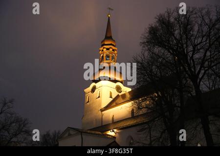 Niedrigwinkel-Nachtansicht der beleuchteten St.-Marien-Kathedrale in Tallinn mit barocker Turmspitze Stockfoto