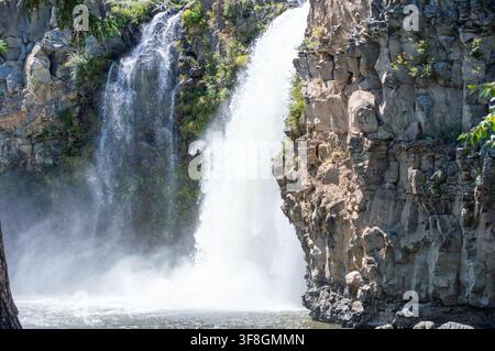 Orchon-Tal, Mongolei – 4. August 2026: Zwillingskaskaden des Orchon-Wasserfalls (Ulaan Tsutgalan) stürzen über säulige Basaltklippen im Orchon-Tal. Stockfoto