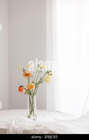 Zarte Ranunkel- und Mohnblumen arrangiert in einer klaren Glasvase auf einem sauberen weißen Hintergrund. Helle korallenrote, orange und gelbe Blüten mit grünem Fo Stockfoto
