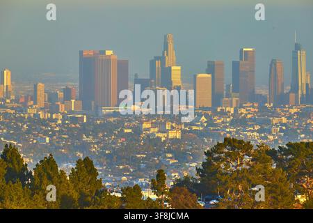Stadtbild von Los Angeles mit Wolkenkratzern und Bäumen aus Blickwinkel des Griffith Parks Stockfoto