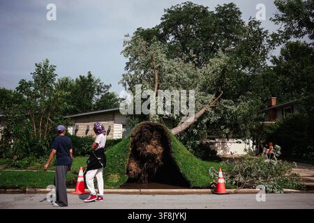 Glenwood, Vereinigte Staaten. 11. Aug., 2026. Zwei Anwohner stehen am Bürgersteig und betrachten einen massiven entwurzelten Baum, der am 11. August 2026 auf dem Vorgarten an der Strieff Road in Glenwood, Illinois, gefallen ist. Ein schwerer Sturm hat den großen Baum umgeworfen, wodurch sein Wurzelballen freigelegt und ein Abschnitt des grasbewachsenen Rasens aufgerissen wurde, wobei orangefarbene Verkehrskegel um die Trümmer herum platziert wurden, um Passanten zu warnen. (Foto von E. Jason Wambsgans/Chicago Tribune/TNS/Sipa USA) Credit: Sipa USA/Alamy Live News Stockfoto