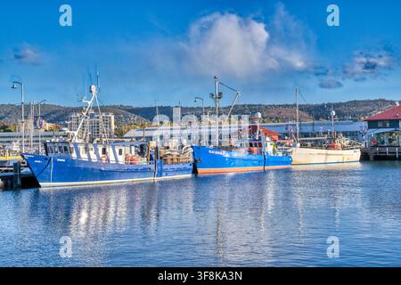 Fischboote, die am Ufer von Hobart in Tasmanien, Australien, angelegt sind. Stockfoto
