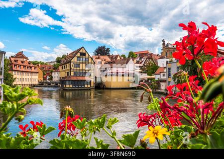 Panoramablick auf die historische Altstadt von Bamberg, zeigt traditionelle halbverputzte Flussuferhäuser und einen Kirchturm am Fluss. Hellroter Geranium Stockfoto