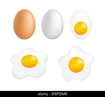 Eier in verschiedenen Formen für das Frühstück und zum Kochen Stock Vektor