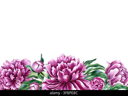 Ein Bild mit den Blüten einer rosa Pfingstrose. Eine handgezeichnete Aquarellillustration. Ideal für Gruß- und Einladungskarten, Etiketten, Verpackungen Stockfoto