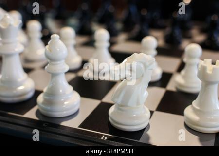 Ein weißer Schachspringer und Figuren, die auf einem schwarz-weißen Schachbrett zum Spiel bereitgestellt sind, geringe Tiefenschärfe vermittelt ruhige Konzentration und Strategie Stockfoto