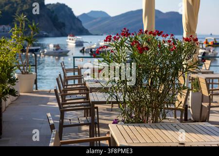 ein leerer und einladender Außenbereich zum Essen in einer Marina mit Holzstühlen, roten Blumen und Topfpflanzen vor dem Hintergrund von Booten und Di Stockfoto