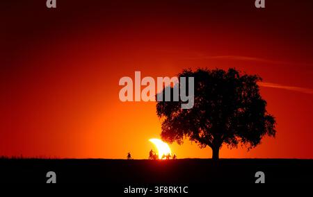Spektakulärer Blick auf einen Sonnenfinsternis-Sonnenuntergang mit den Silhouetten eines Baumes und von Menschen am Horizont, die den Sonnenhalbmond in der tiefroten Vignette beobachten Stockfoto