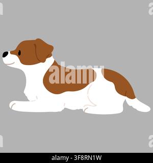 Einfache und niedliche Illustration eines Jack-Russell-Terriers, der flach liegt, farbig Stock Vektor
