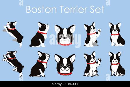 Einfache und bezaubernde Boston-Terrier-Illustrationen mit rotem Halsband Stock Vektor