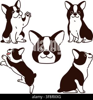 Satz von umrissenen niedlichen Boston-Terrier-Illustrationen Stock Vektor