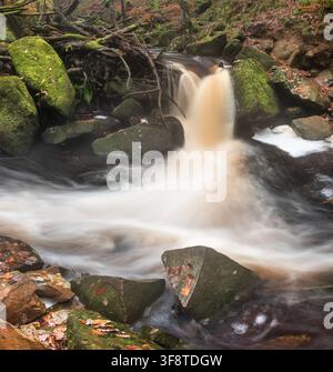 Atemberaubende, lebendige Herbstlandschaft von Padley Gorge im Peak District, England Stockfoto