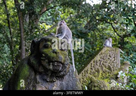 Zwei langschwänzige Makaken besetzen moosbedeckte Wächter- und Tempelskulpturen im Sacred Monkey Forest Sanctuary in Ubud, Bali. Stockfoto