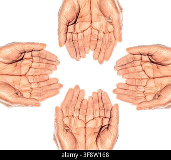 Gruppe, Menschen und Palme mit Freunden für Hilfe, Ziel und Solidarität. Gruppe von Händen, die verschränkt zusammenhalten Stockfoto