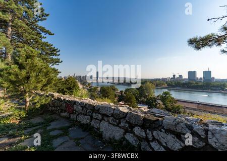 Ein ultrabreiter Panoramablick auf die Stadtlandschaft von Belgrad und die Save vom historischen Kalemegdan-Festung aus. Gerahmt von grünen Kiefern und einem rustikalen Stockfoto