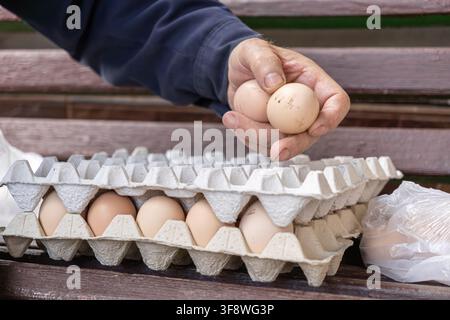 Ein Bauer wählt natürliche Eier aus einer recycelten Pappmasse-Schale und unterstreicht die Bedeutung der handwerklichen Landwirtschaft, der Farm-to-Table-Lieferketten und Stockfoto