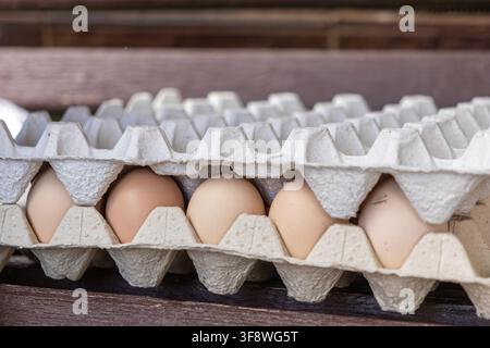 Natürliche braune Eier liegen in einem schützenden Papierkarton, um die landwirtschaftliche Fülle, essentielle Frühstückszutaten und gesunde Gesundheit zu veranschaulichen Stockfoto